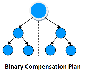Binary mlm script